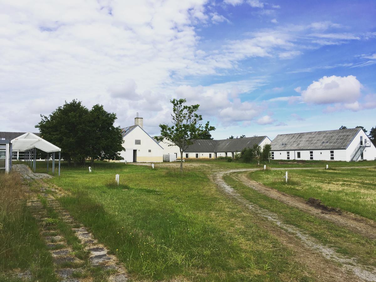 Hotel Hvideklit Ålbæk 외부 사진